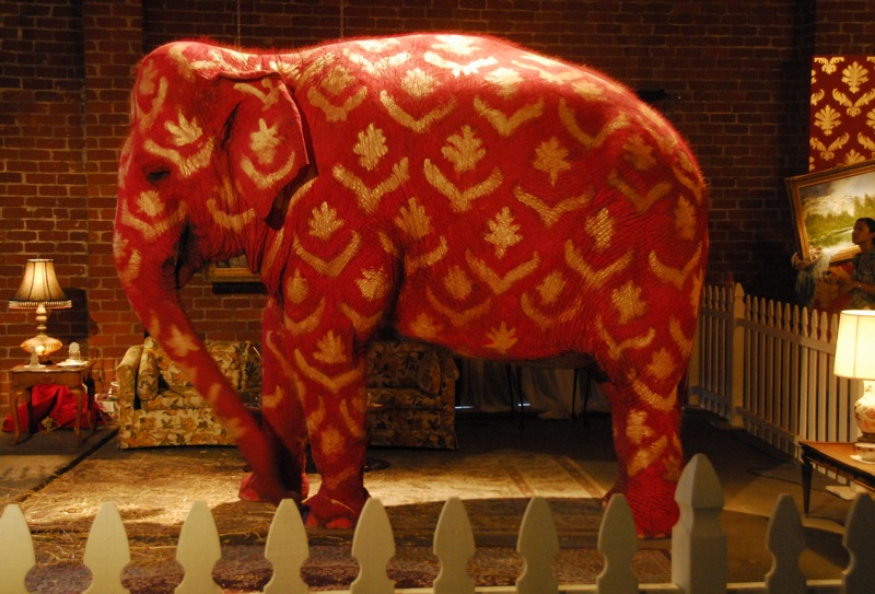 Why It S So Hard To Talk About The Elephant In The Room